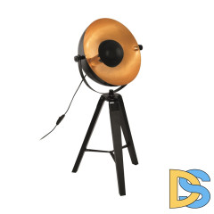 Настольная лампа Eglo Covaleda 49617