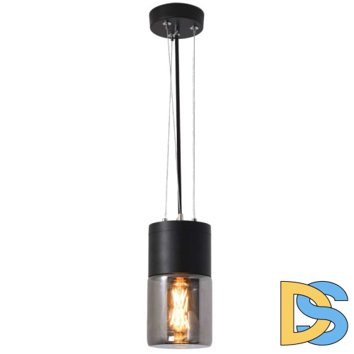 Уличный подвесной светильник Elektrostandard Roil 35125/H 4690389175428 a055634