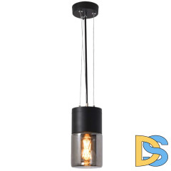 Уличный подвесной светильник Elektrostandard Roil 35125/H 4690389175428 a055634