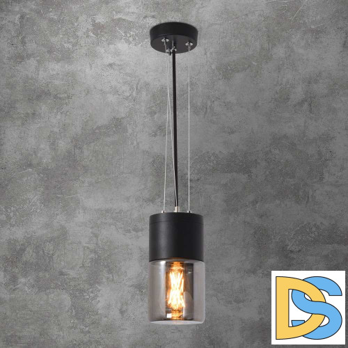 Уличный подвесной светильник Elektrostandard Roil 35125/H 4690389175428 a055634