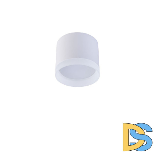 Накладной светильник Favourite Soiree 4215-1C