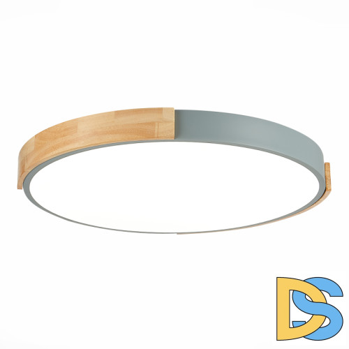 Потолочный светильник Evoluce Delia SLE201372-01