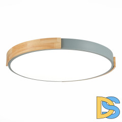 Потолочный светильник Evoluce Delia SLE201372-01