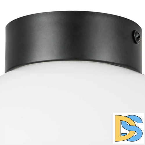 Потолочный светильник Lightstar Globo 812117