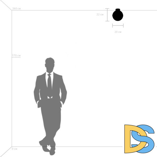 Потолочный светильник Lightstar Globo 812117