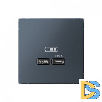 USB Розетка Schneider Electric Art Gallery тип-С 65Вт высокоскор.заряд. QC, PD, механизм, ГРИФЕЛЬ, GAL000727