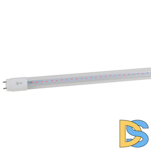 Фитолампа для растений Эра FITO-18W-RB-Т8-G13-NL Б0042990