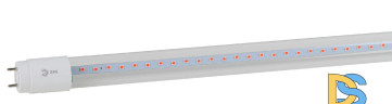Фитолампа для растений Эра FITO-18W-RB-Т8-G13-NL Б0042990