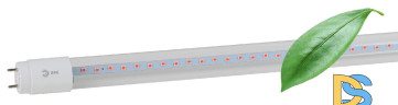 Фитолампа для растений Эра FITO-18W-RB-Т8-G13-NL Б0042990
