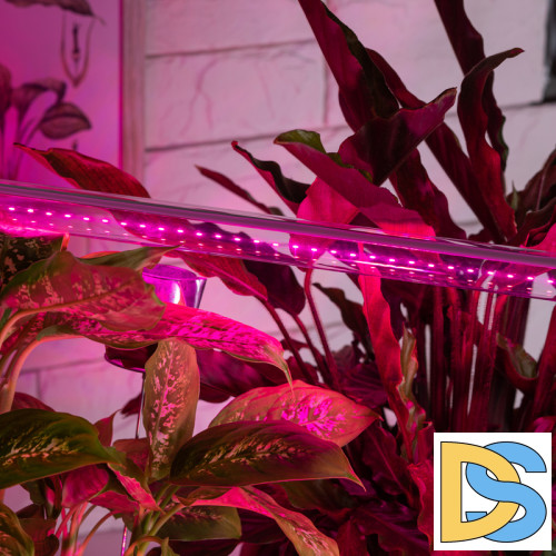 Фитолампа для растений Эра FITO-18W-RB-Т8-G13-NL Б0042990