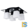 Потолочная люстра Lussole Lente GRLSC-2507-04
