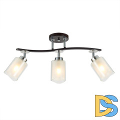 Потолочная люстра Citilux Фортуна CL156132