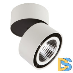 Потолочный светодиодный светильник Lightstar Forte Muro 214850