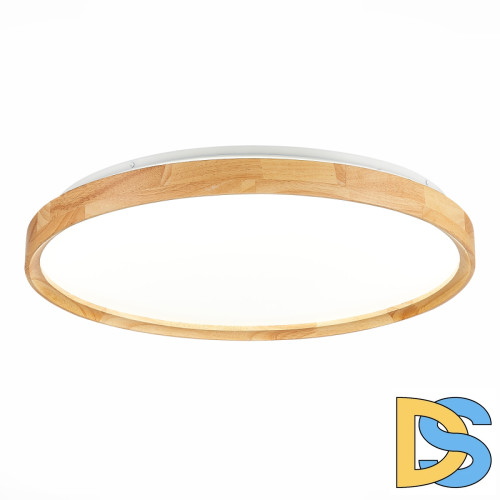 Потолочный светильник Evoluce Delia SLE201382-01