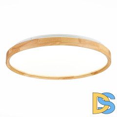 Потолочный светильник Evoluce Delia SLE201382-01