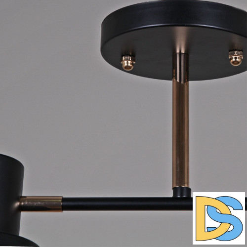 Потолочный светильник Reluce 06074-3.3-02 BK+FG