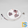 Светодиодная герметичная лента Arlight SPI-P-BA120-14mm 24V RGBW-White-PX6-BPT (16 W/m, IP66, 5060/2835, 5m) 049401