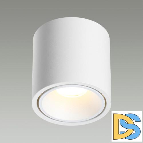 Накладной светильник Odeon Light Redo 6620/10CL