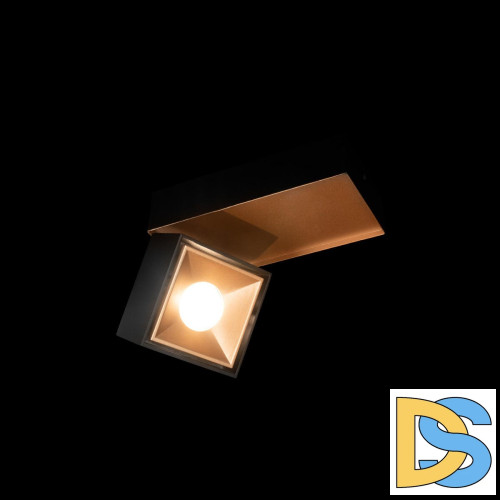 Накладной спот Loft IT Knof 10324/B Gold Black