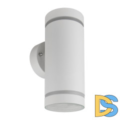 Уличный настенный светильник Feron Рио 48316