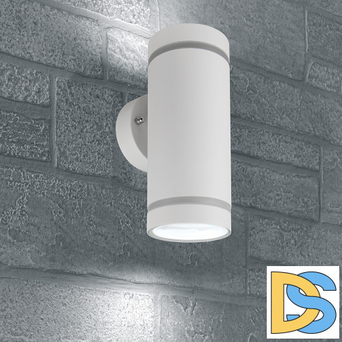 Уличный настенный светильник Feron Рио 48316