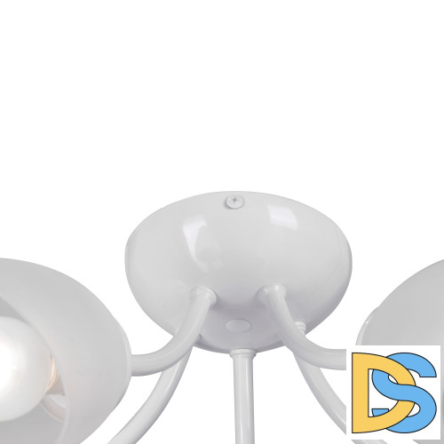 Потолочная люстра Vitaluce V3405-0/5PL