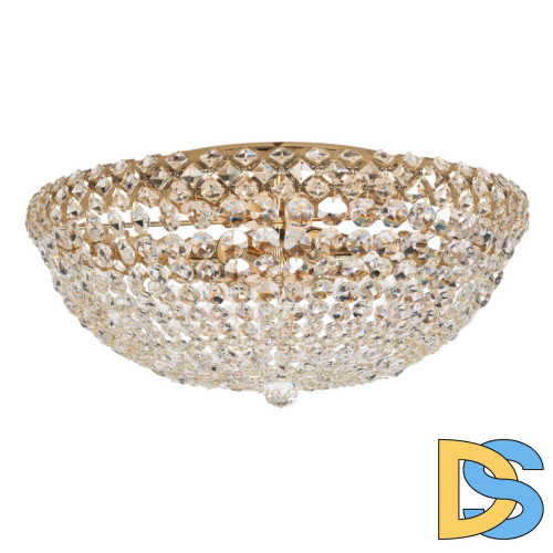 Накладная люстра Arti Lampadari Asti E 1.2.50.100 G