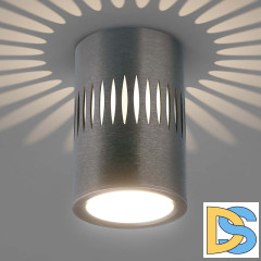 Накладной светильник Elektrostandard DLS025 4690389169786