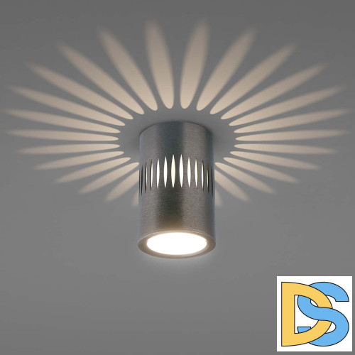 Накладной светильник Elektrostandard DLS025 4690389169786