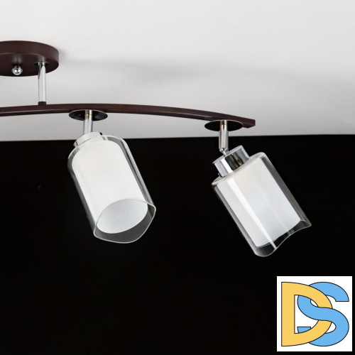 Потолочная люстра Citilux Фортуна CL156142