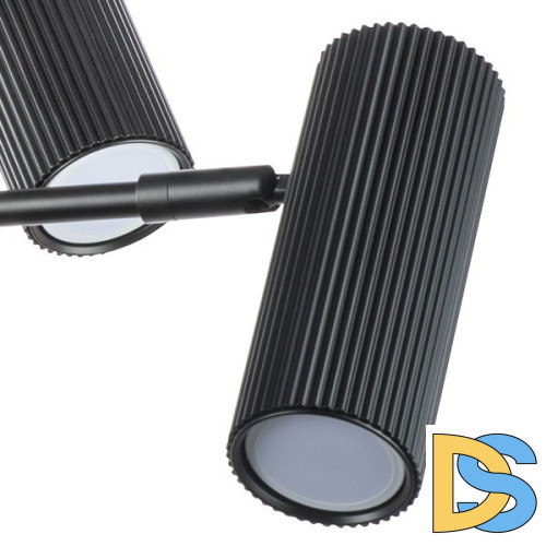 Люстра на штанге Lightstar Roma 718267