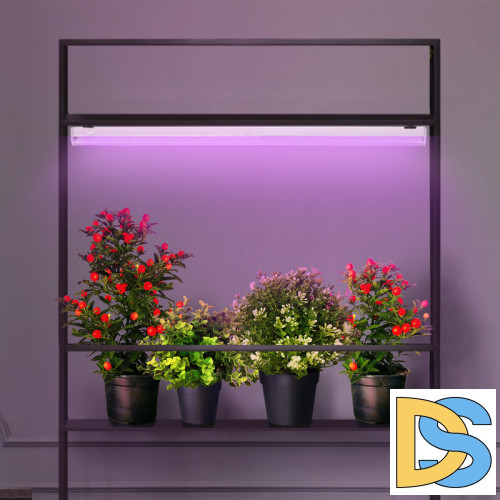 Фитолампа для растений светодиодная ЭРА G13 9W 1200K FITO-9W-RB-Т8-G13-NL Б0042986