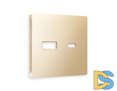 Лицевая панель для розетки 2USB тип A+C Ambrella Volt Alfa AP6110