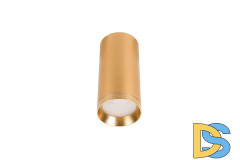 Накладной светильник Lucia Tucci Caruso LTP-C005-01GU10-G