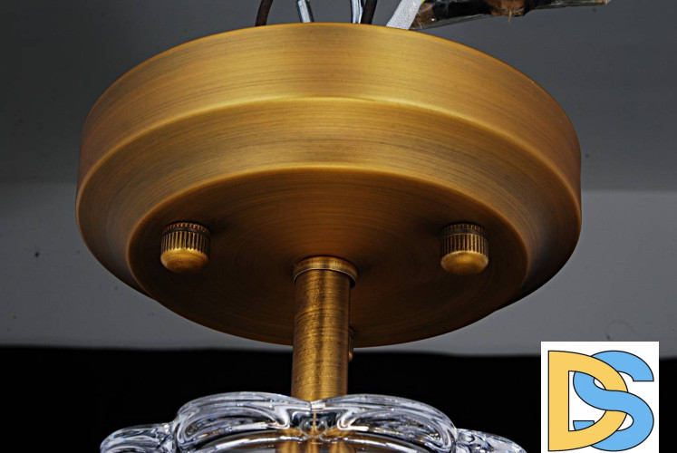 Потолочный светильник Arte Lamp Schelenberg A4410PL-1SR