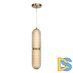 Подвесной светильник ST Luce Saguaro SL6144.303.01