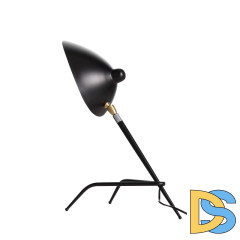 Настольная лампа ST-Luce SL305.404.01