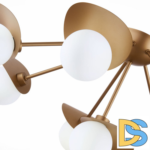 Потолочная люстра Evoluce Bolzano SLE220502-05