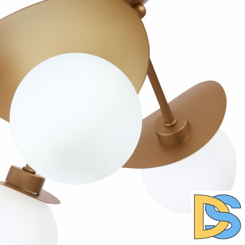 Потолочная люстра Evoluce Bolzano SLE220502-05