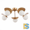 Потолочная люстра Evoluce Bolzano SLE220502-05