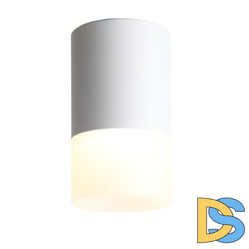 Накладной светильник ST Luce ST100.502.05