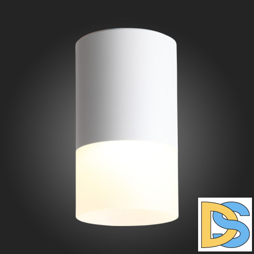 Накладной светильник ST Luce ST100.502.05