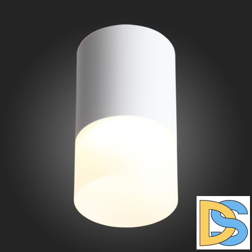 Накладной светильник ST Luce ST100.502.05
