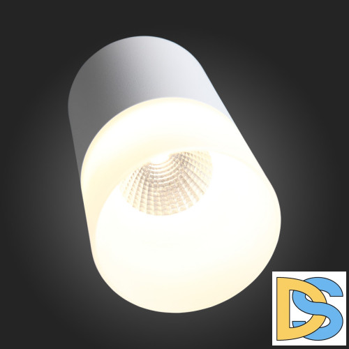 Накладной светильник ST Luce ST100.502.05