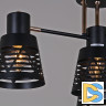 Потолочная люстра Reluce 06074-3.3-04 BK+FG