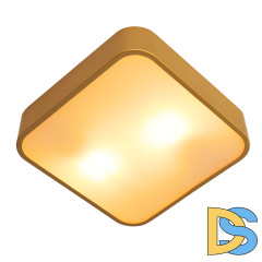 Потолочный светильник Arte Lamp Cosmopolitan A7210PL-2GO