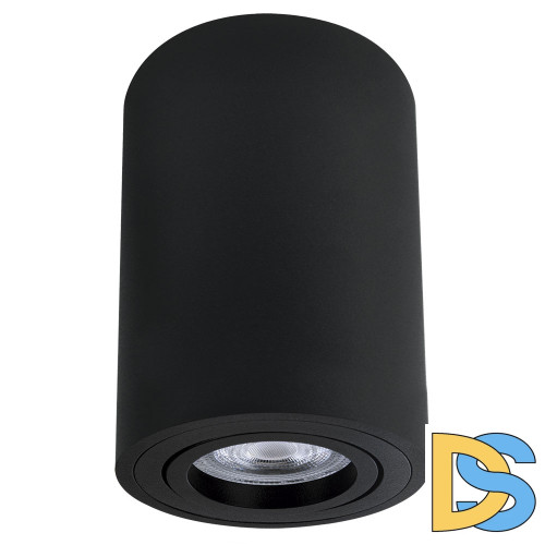 Накладной светильник Arte Lamp Sentry A1566PL-1BK