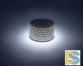 Светодиодная лента ЭРА 4,8W/m 120LED/m 2835SMD белый 5M LS2835-120LED-IP20-W-eco-5m Б0035595