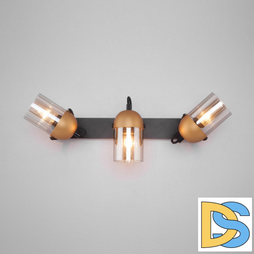 Спот Eurosvet 20122/3 черный/золото