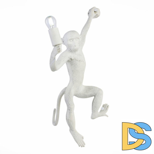 Бра Evoluce Tenato SLE115111-01